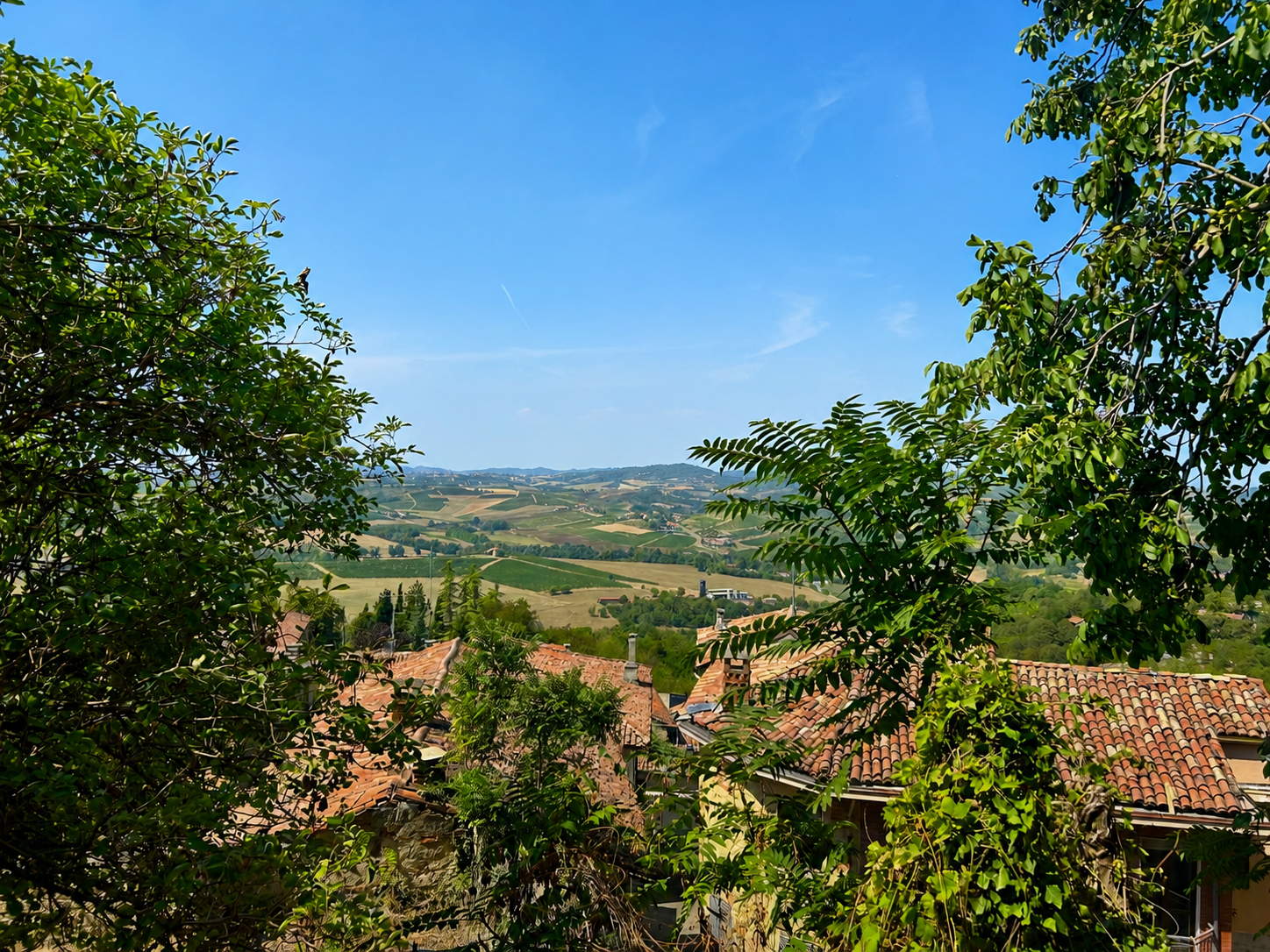 Monferrato landscape framed by mature trees and village rooftops